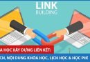 ychoc khoa hoc link building