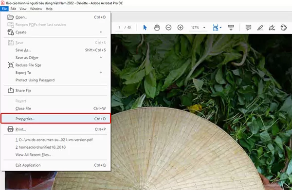 Chọn File > Properties... để thêm mô tả cho file PDF trên Adobe Acrobat Pro DC