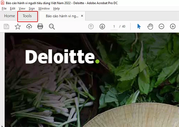 Mở file PDF và chọn Tools để bắt đầu quá trình thêm văn bản thay thế (Alt text) cho hình ảnh trong file PDF với phần mềm Adobe Acrobat Pro DC