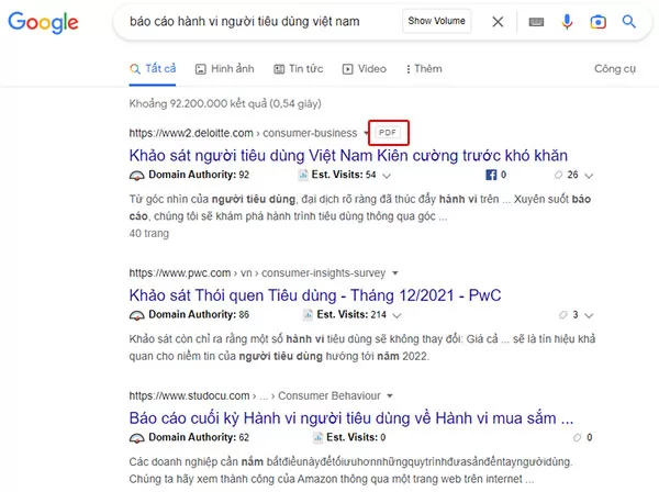Ví dụ về file PDF được lập chỉ mục và xếp hạng Top#1 trên Google Search