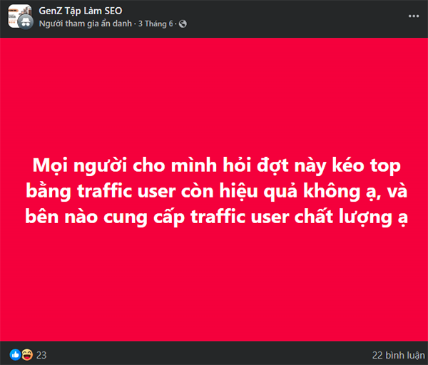 Một chủ đề được seeding trên group Facebook về SEO